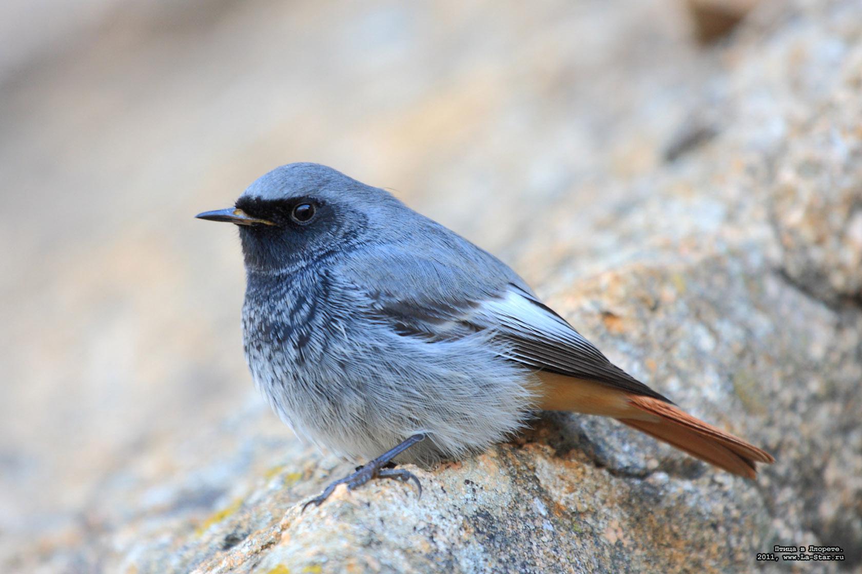 ����� � �������. :: 