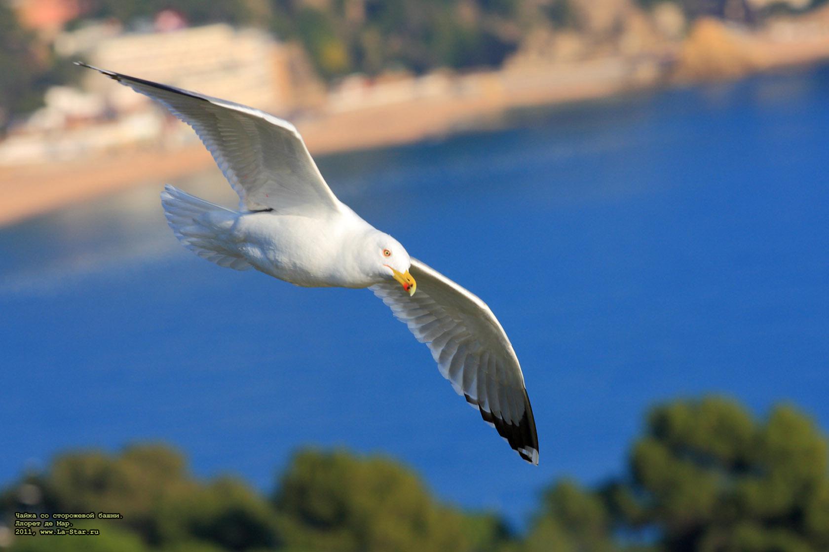 ����� �� ���������� �����. ������ �� ���. :: 