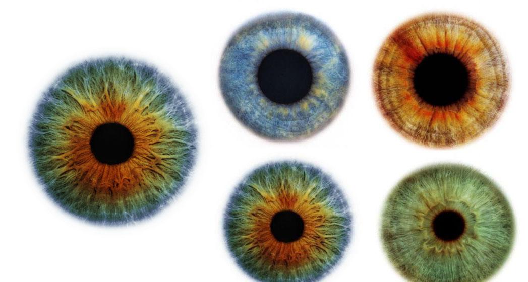 ������ ������������ ���� :: Pupil of the homo eye