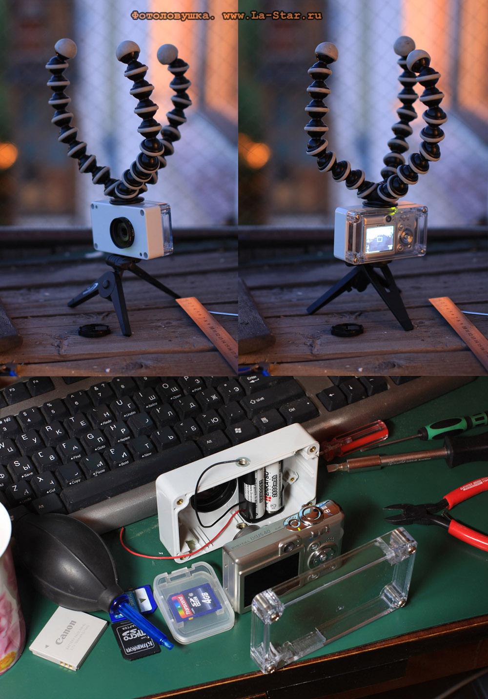 ����������� :: PhotoHunter