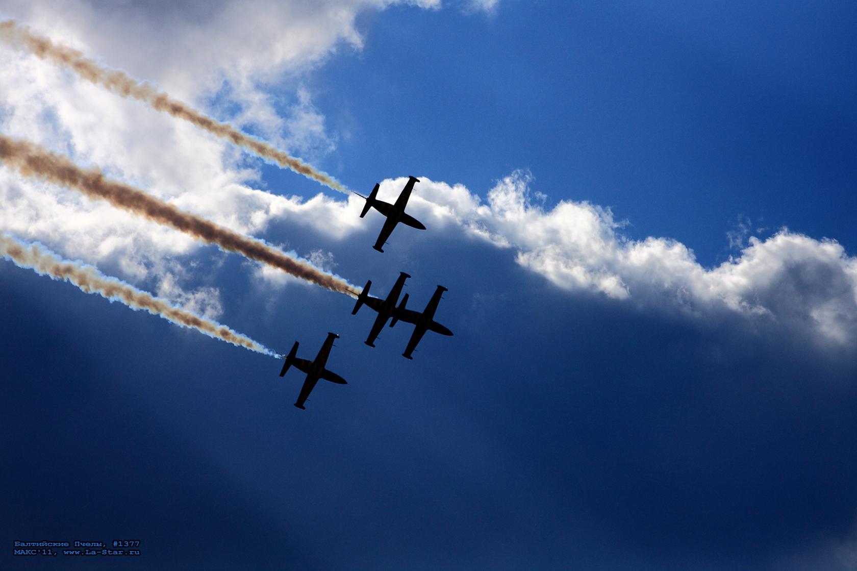 ���������� ����� #1377 :: Baltic Bees #1377