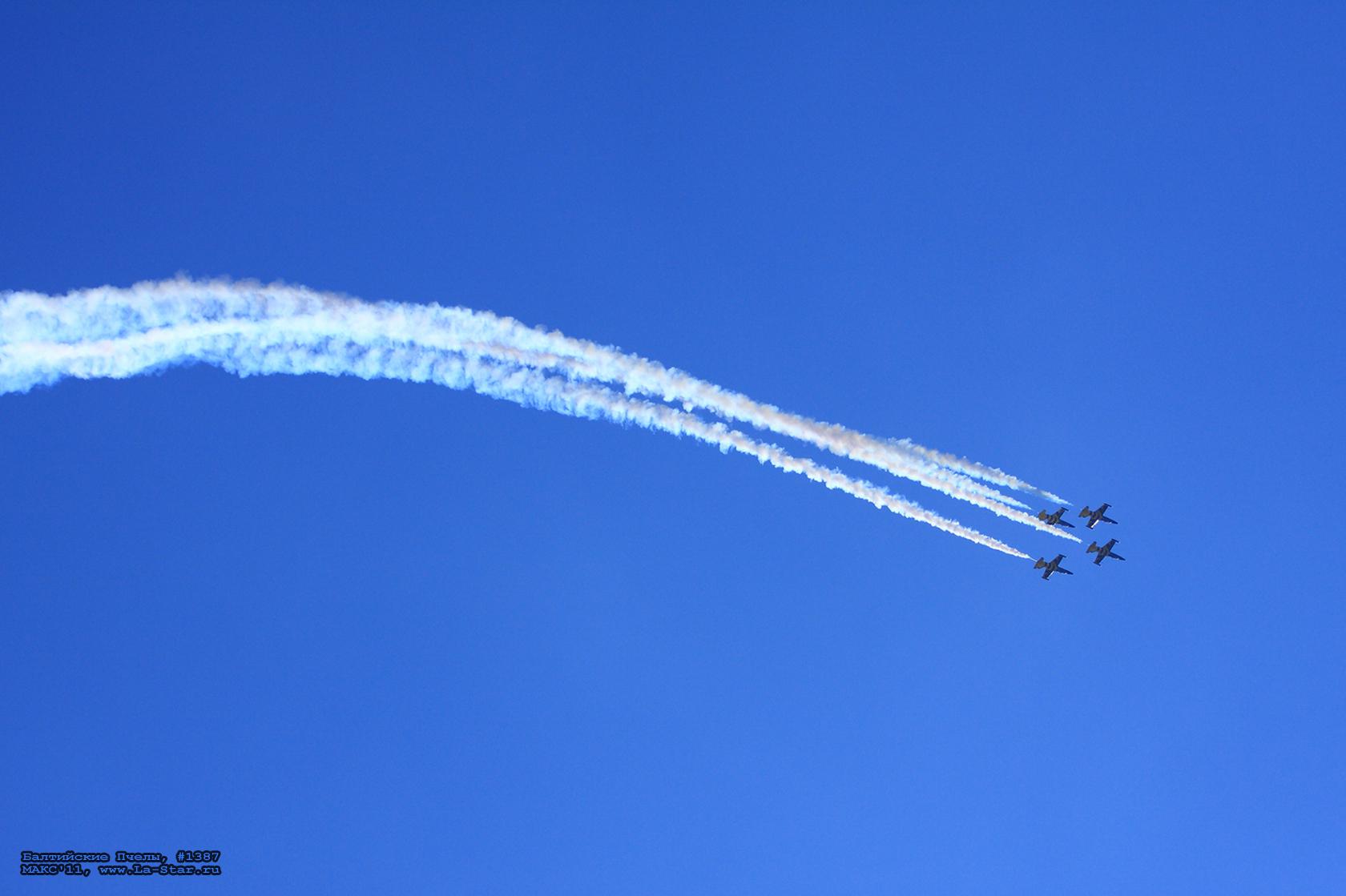 ���������� ����� #1387 :: Baltic Bees #1387