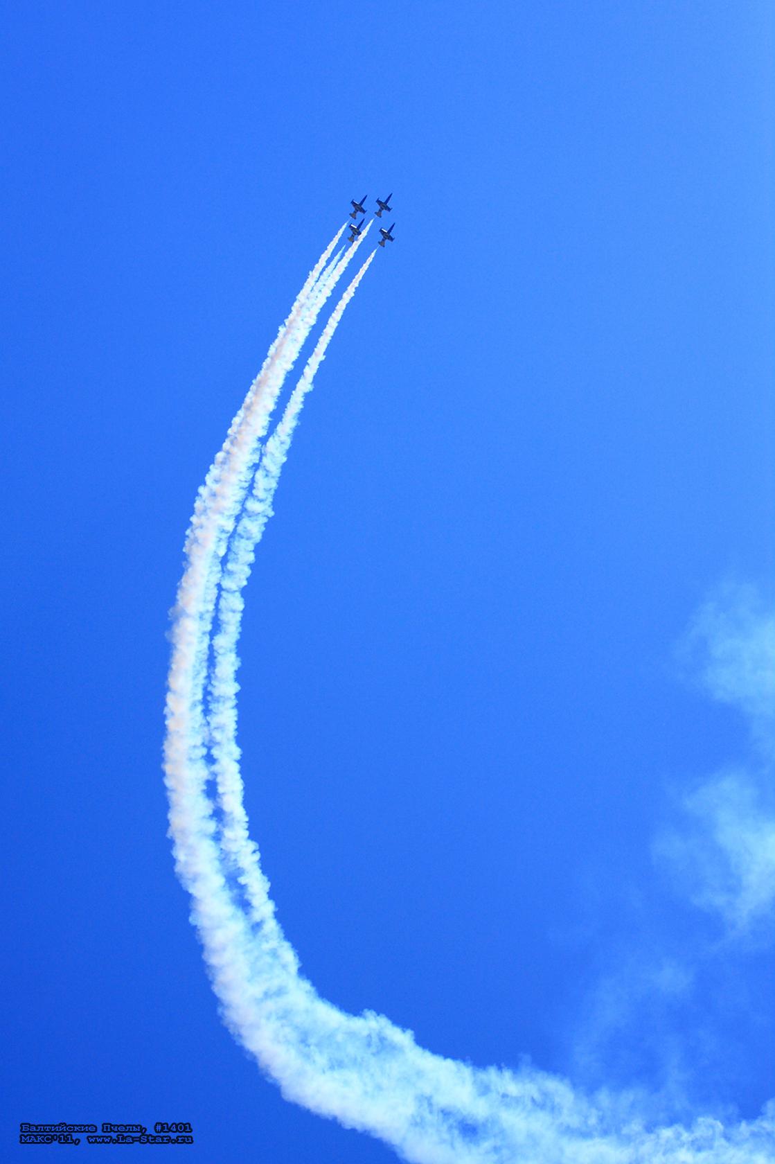 ���������� ����� #1401 :: Baltic Bees #1401