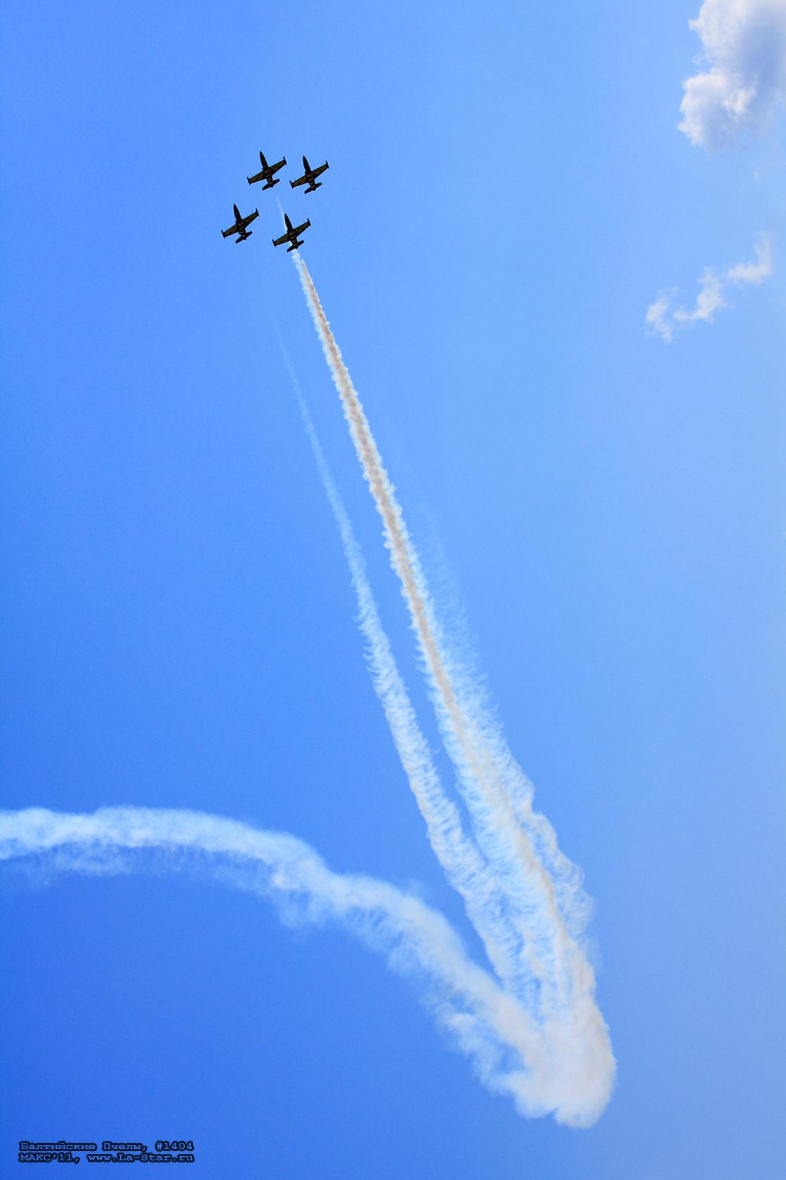 ���������� ����� #1404 :: Baltic Bees #1404