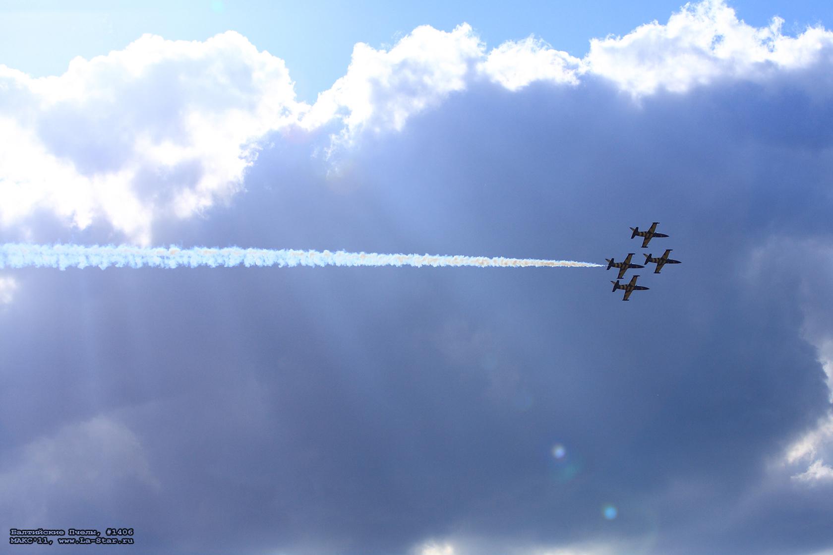 ���������� ����� #1406 :: Baltic Bees #1406