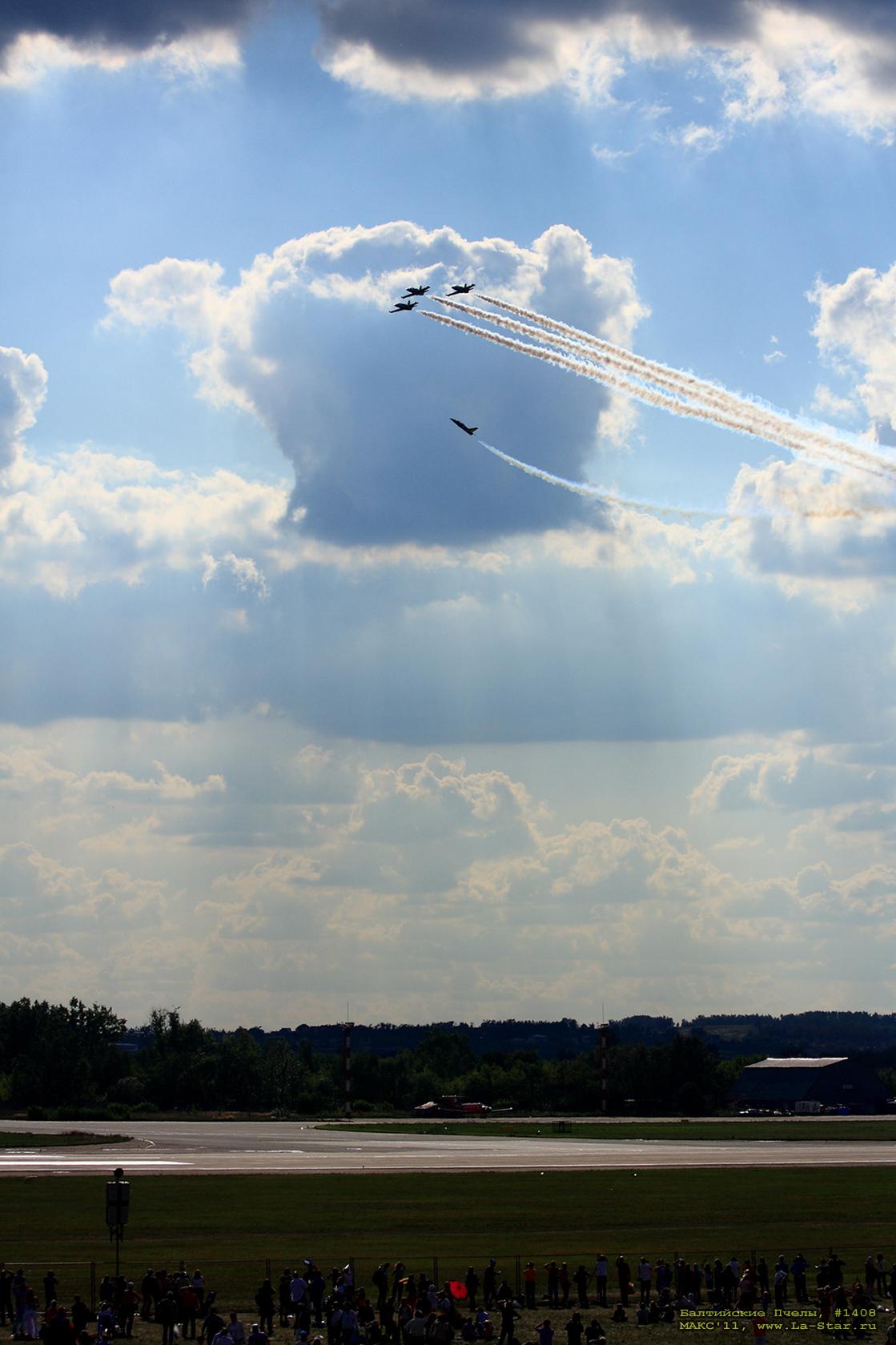 ���������� ����� #1408 :: Baltic Bees #1408