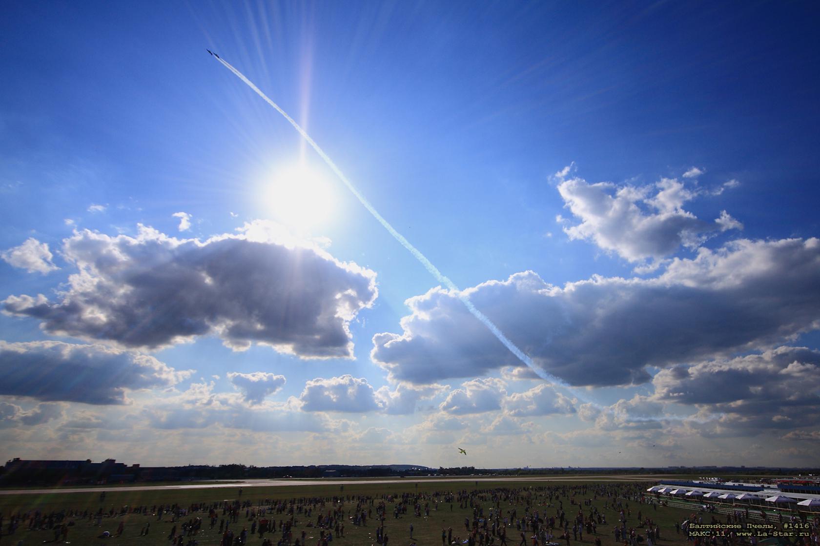 ���������� ����� #1416 :: Baltic Bees #1416