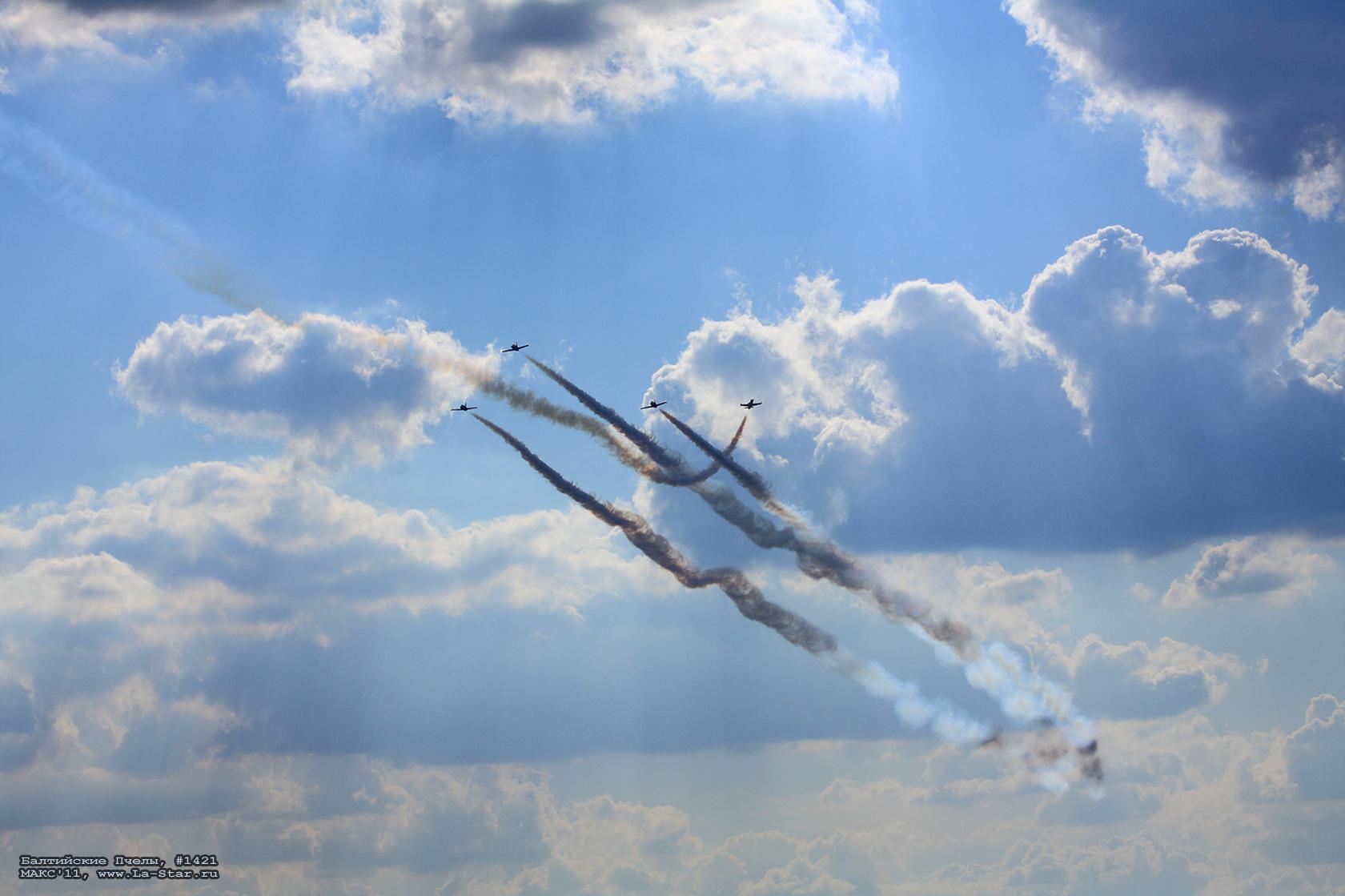 ���������� ����� #1421 :: Baltic Bees #1421