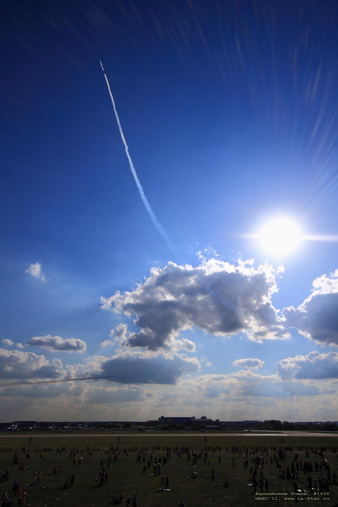 ���������� ����� #1426 :: Baltic Bees #1426