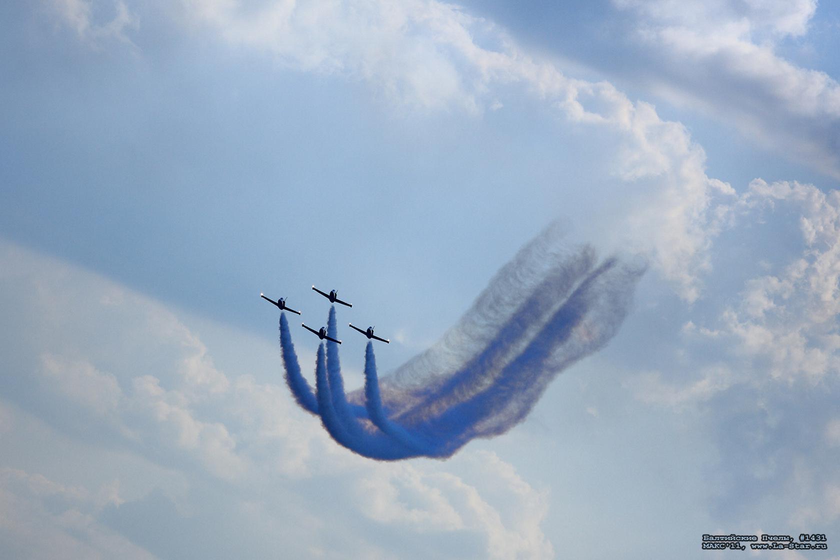 ���������� ����� #1431 :: Baltic Bees #1431