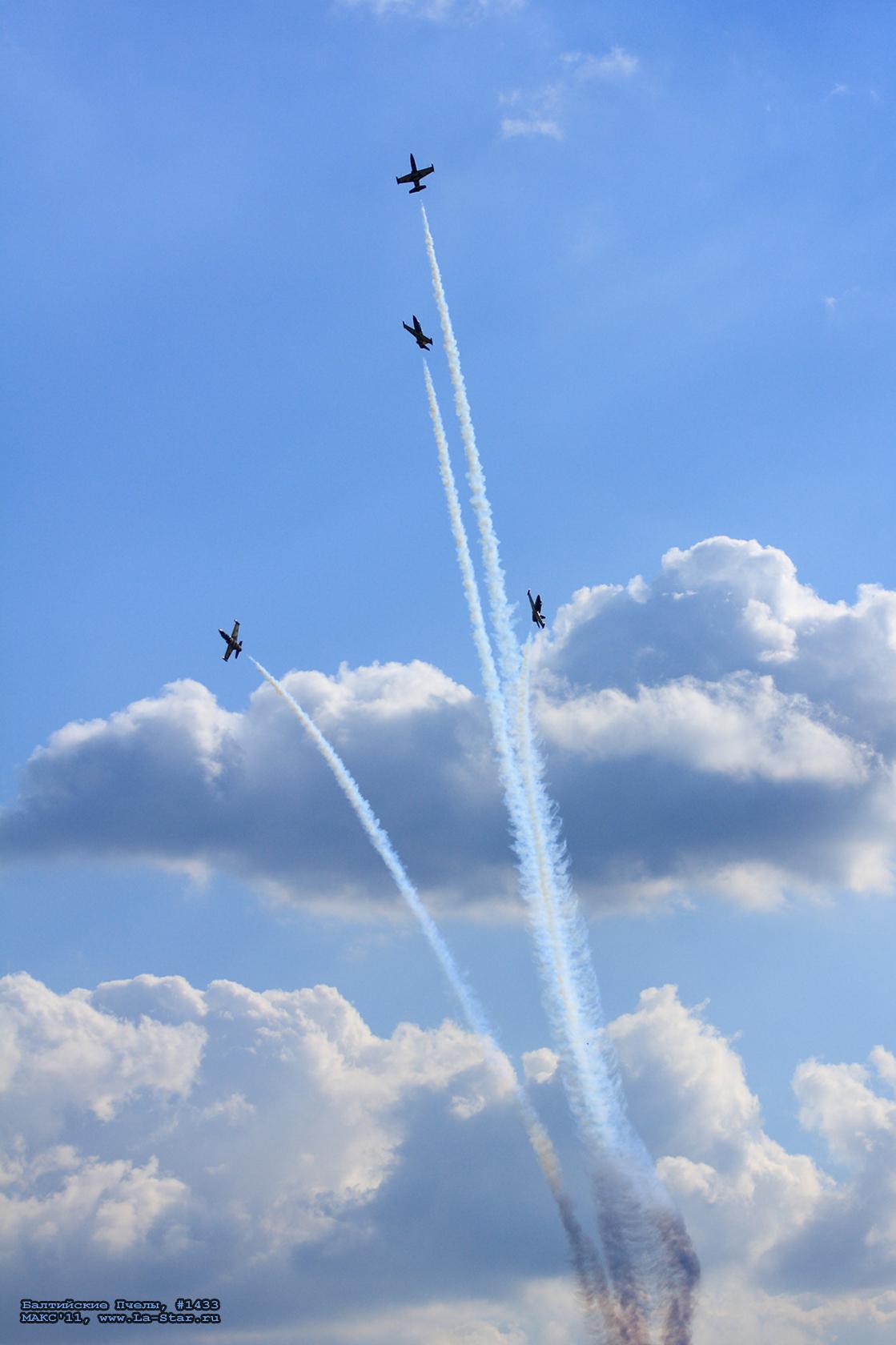 ���������� ����� #1433 :: Baltic Bees #1433