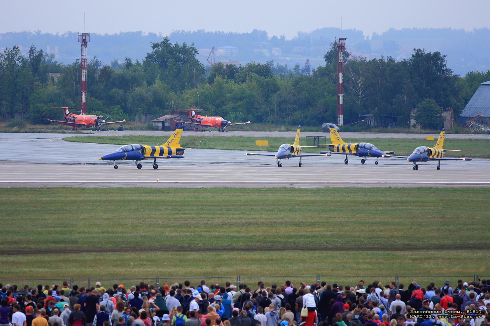 ���������� ����� #1817 :: Baltic Bees #1817