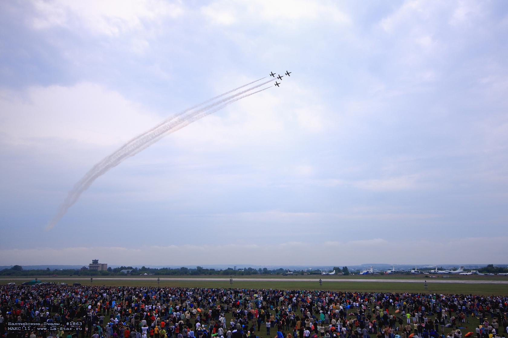 ���������� ����� #1863 :: Baltic Bees #1863