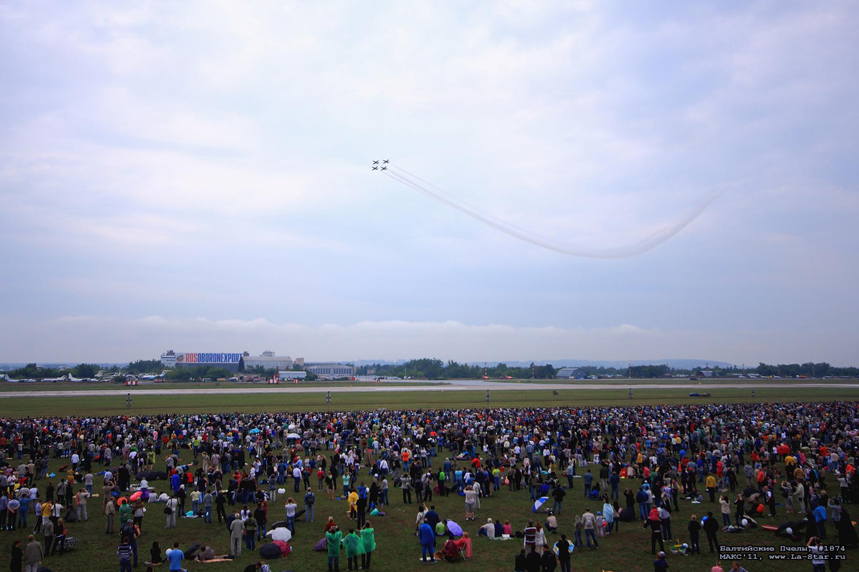 ���������� ����� #1874 :: Baltic Bees #1874