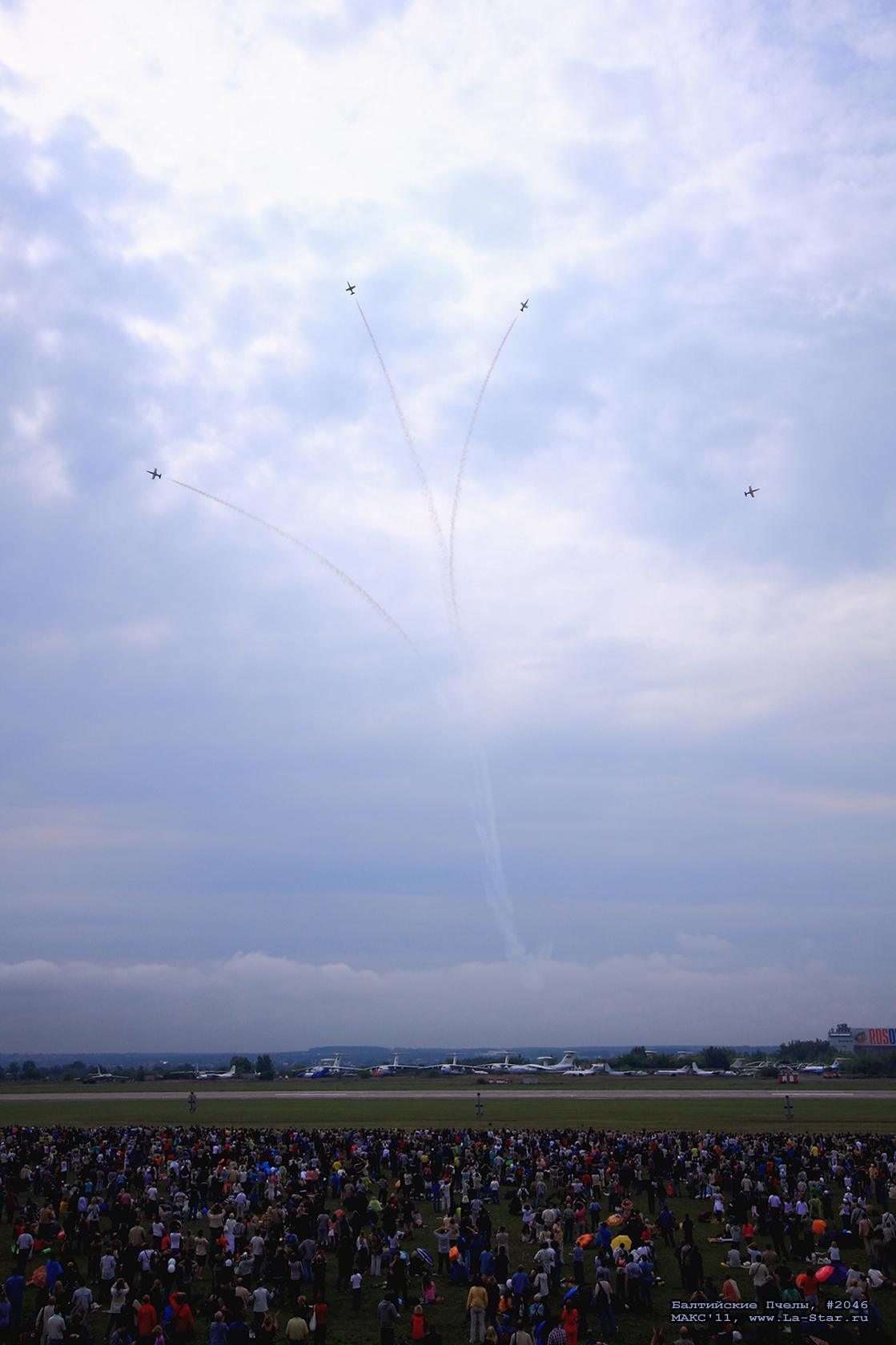 ���������� ����� #2046 :: Baltic Bees #2046