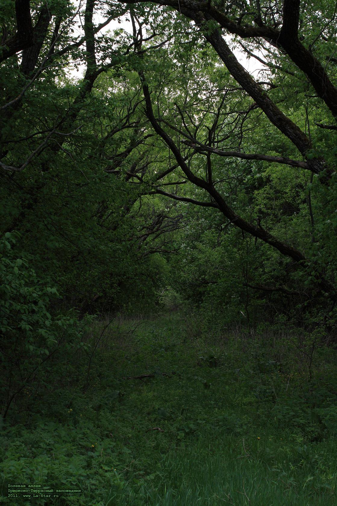 ������� �����. :: Field path.