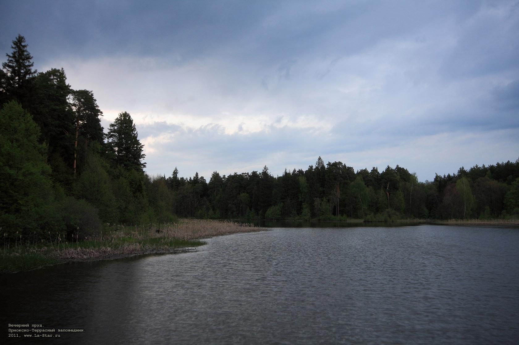 �������� ����. :: Evening pond.