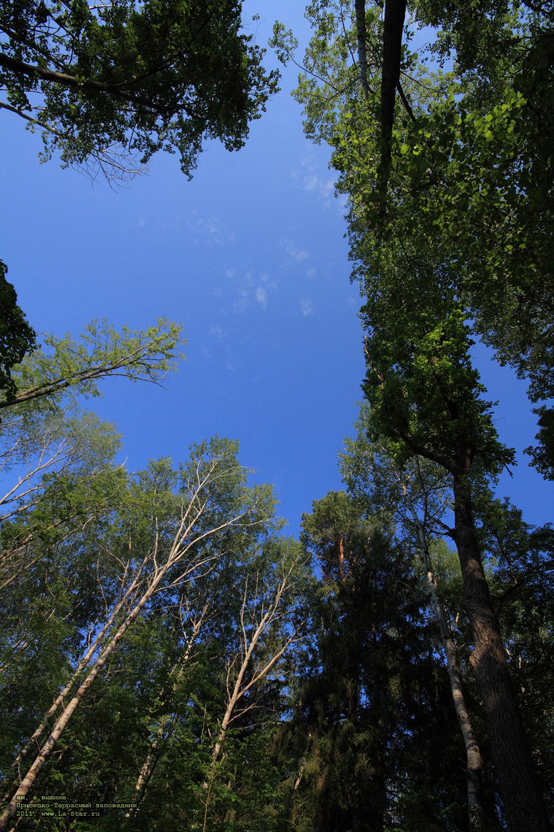 ���, � ������. :: There, in a height.