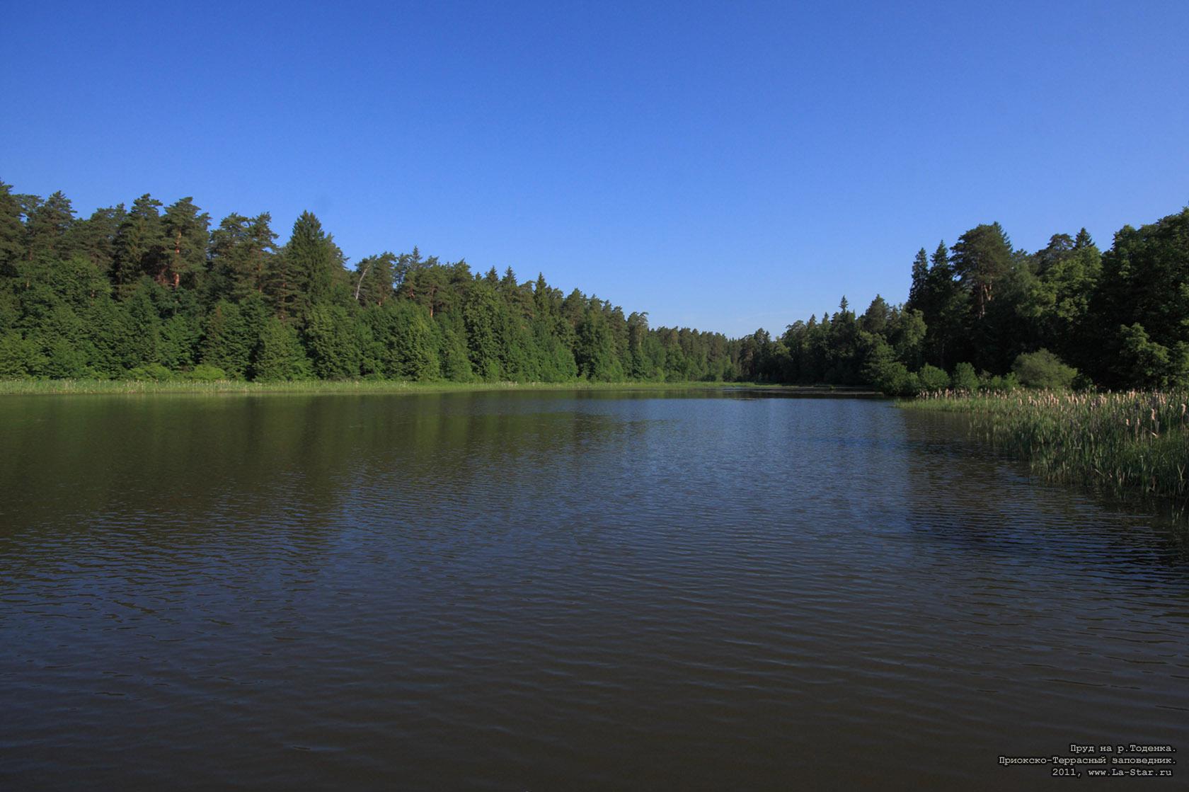 ���� �� �.�������. :: Pond on the Todenka river.