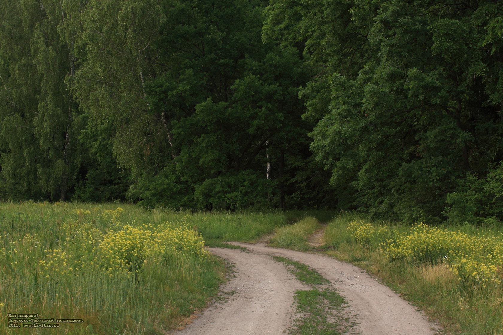 ��� �������! :: Lets go to the right!