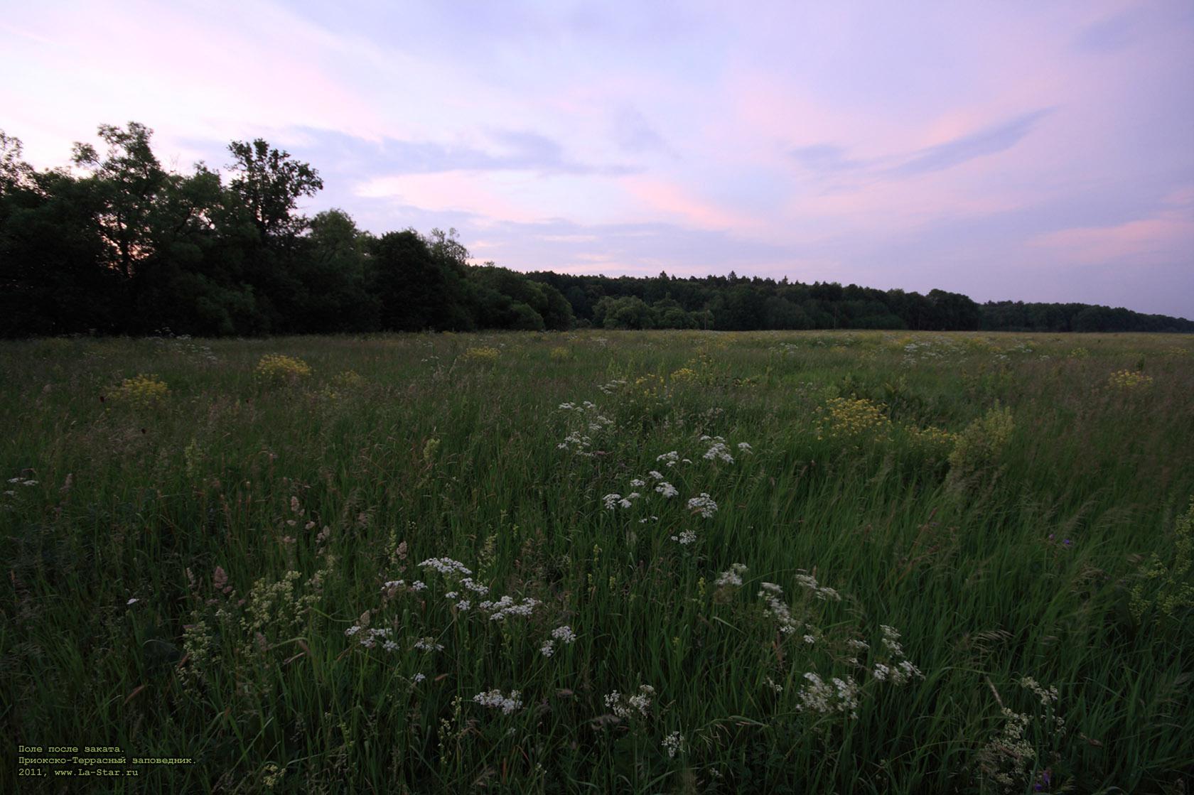 ���� ����� ������. :: A field after sunset.