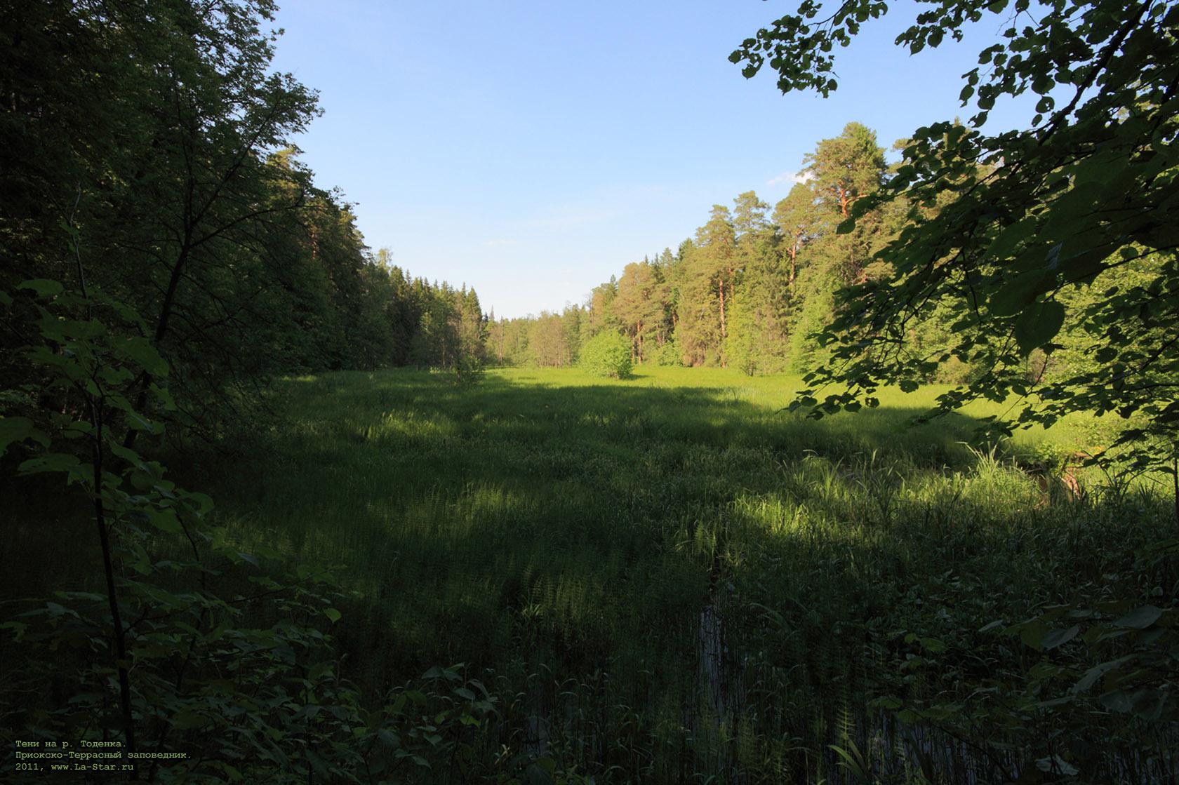 ���� �� �.�������. :: Shadows on the Todenka river.