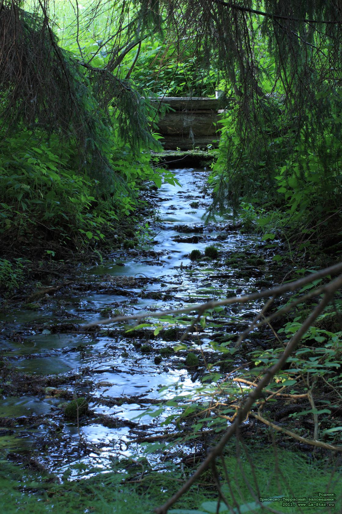 ������. :: Spring.