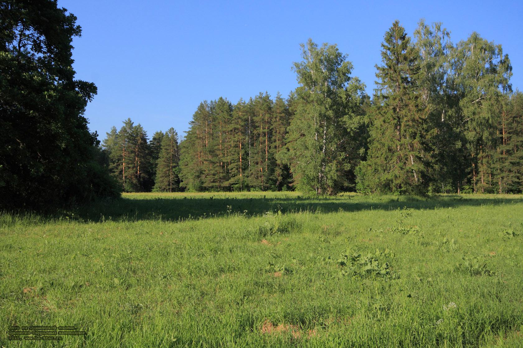 ���� �� ���������� ������. :: Summer on Spring glade.