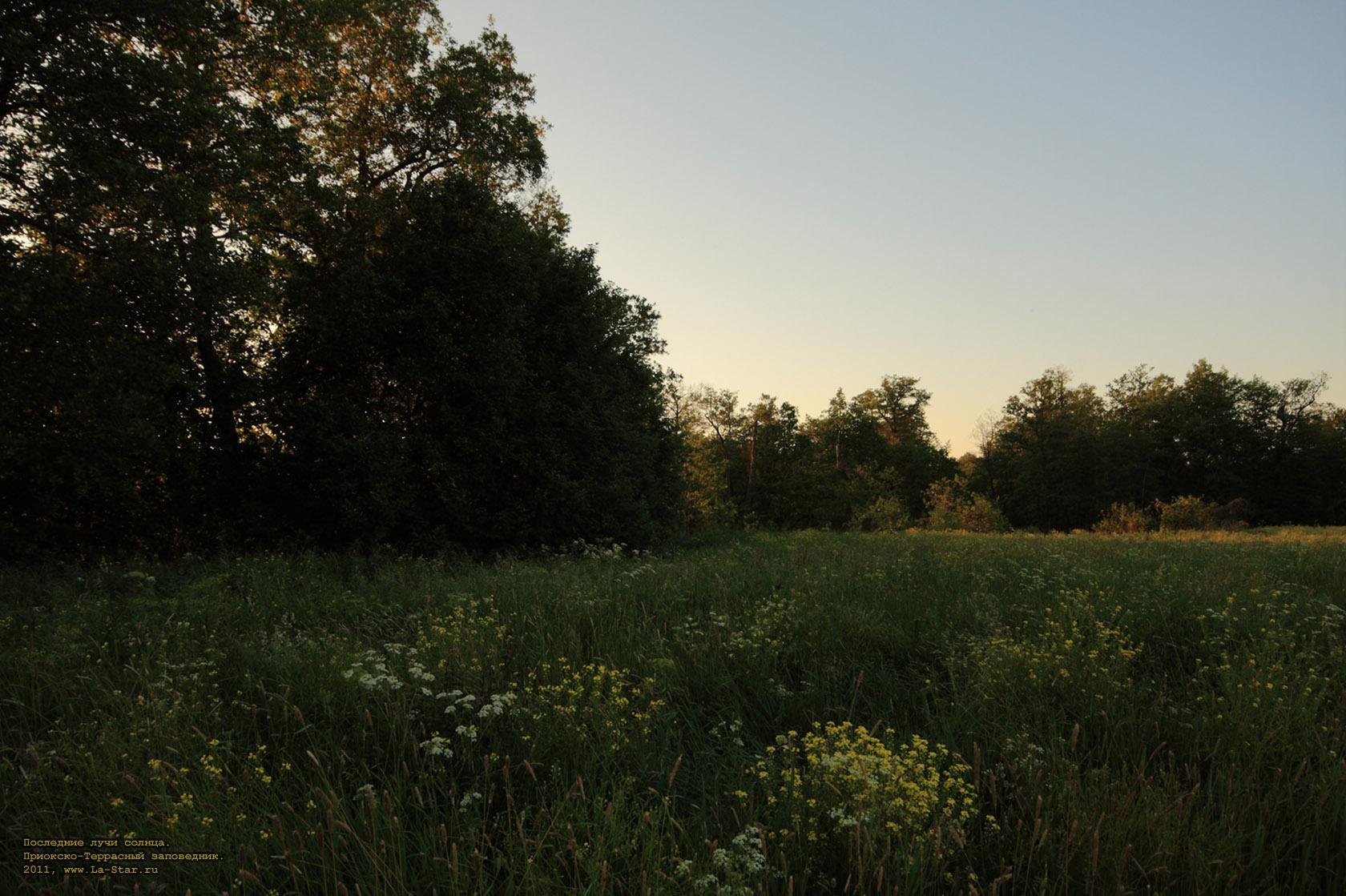 ��������� ���� ������. :: Last rays of sun.
