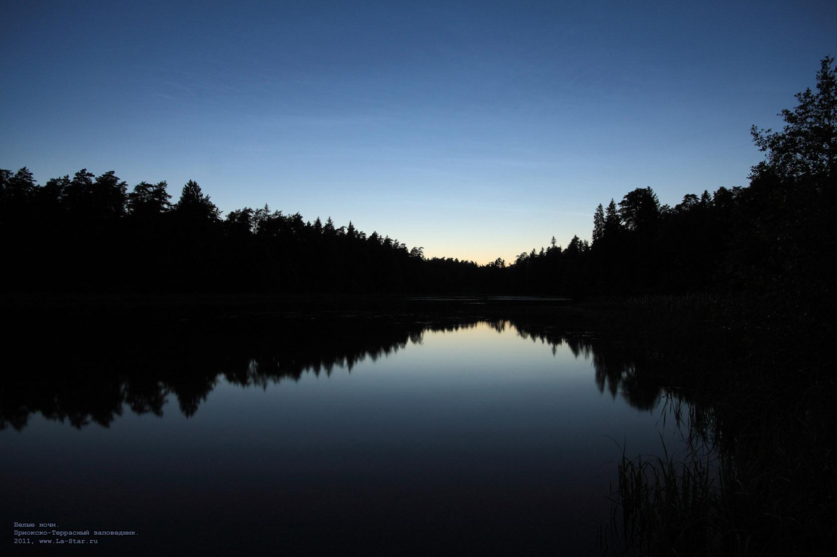 ����� ����. :: White nights.