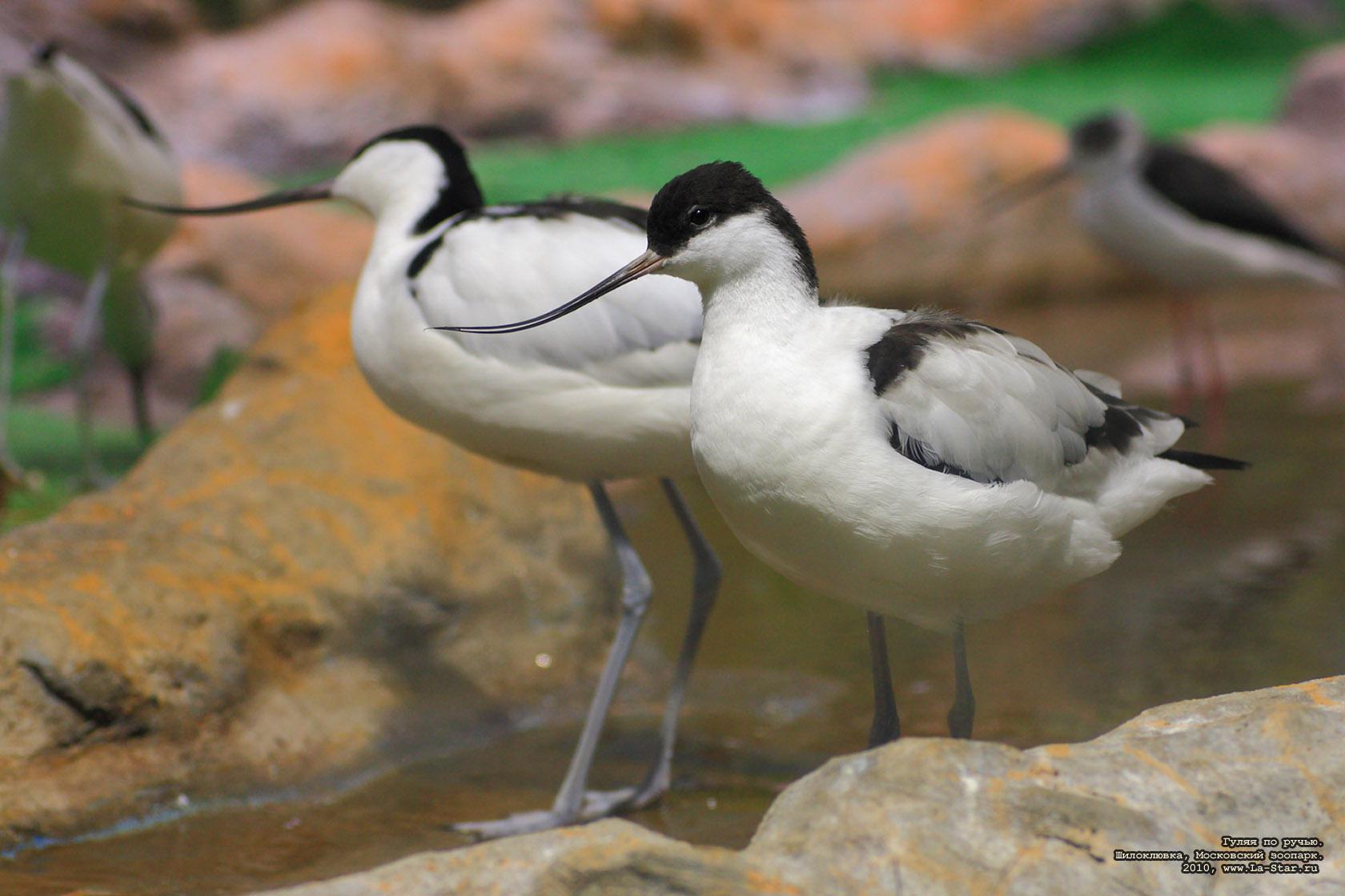 ����� �� �����. ����������. :: 