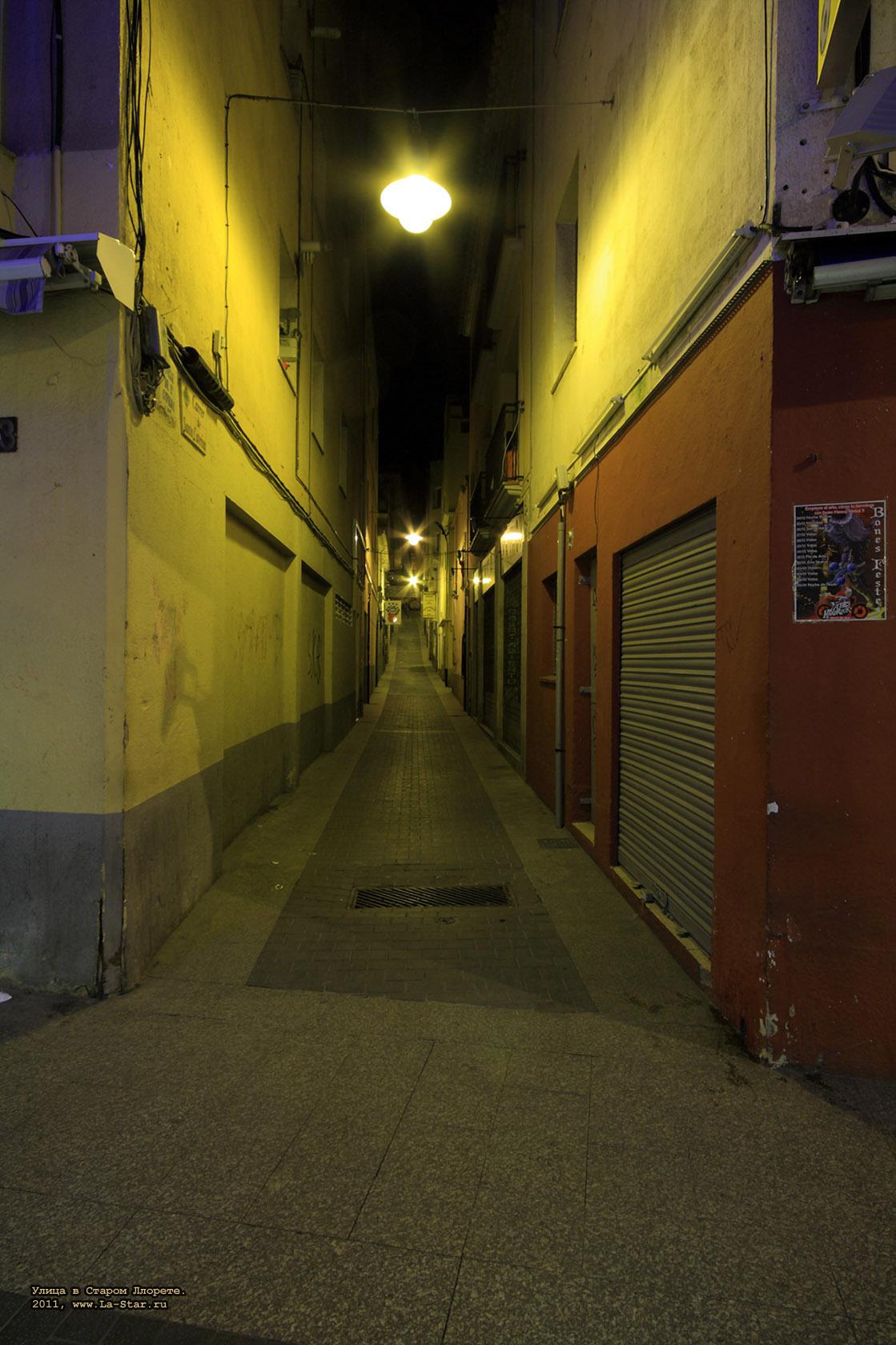 ����� � ������ �������. 2011. :: 