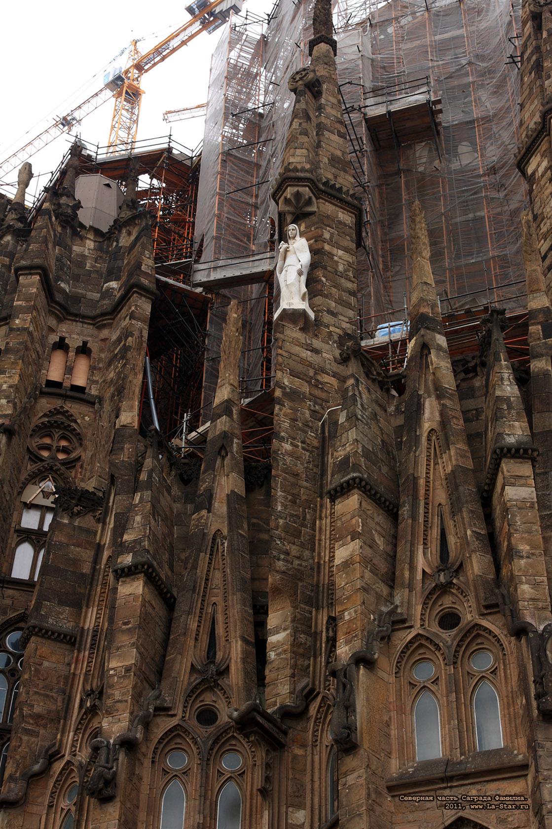 �������� ����� ������� �������. 2011. :: 