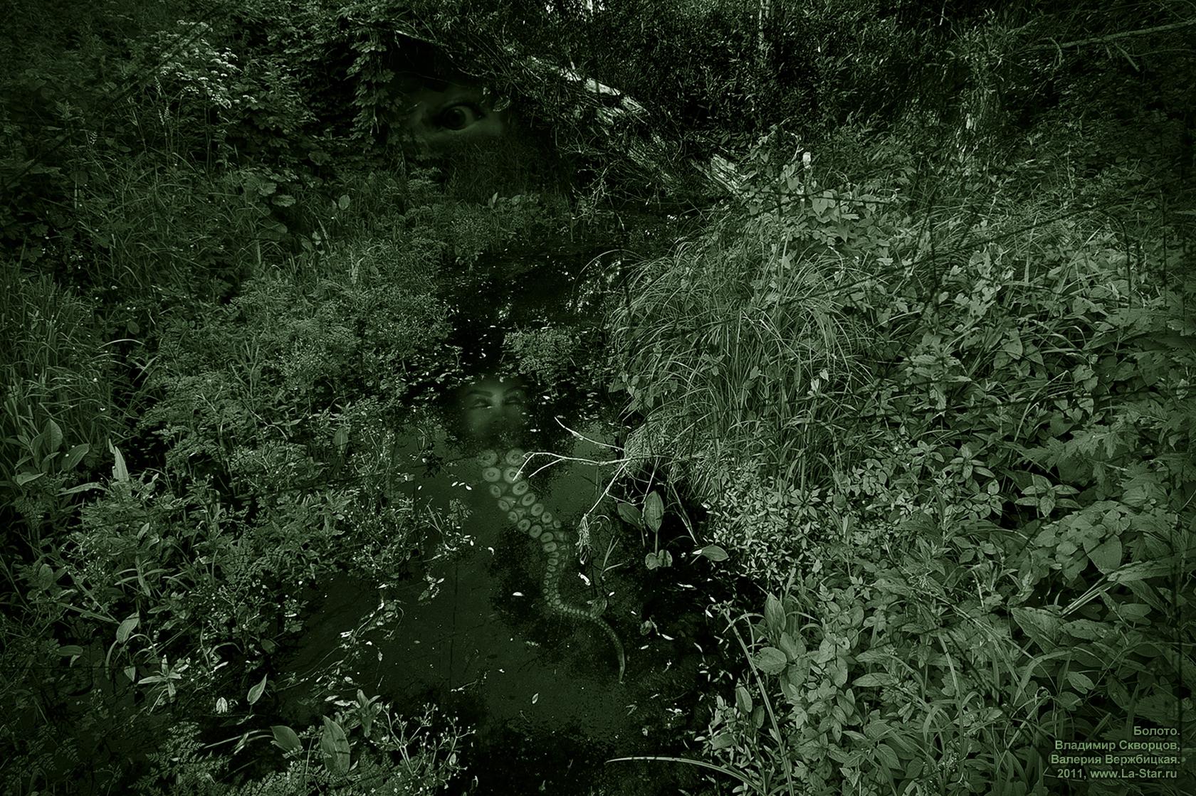 ������ :: Swamp